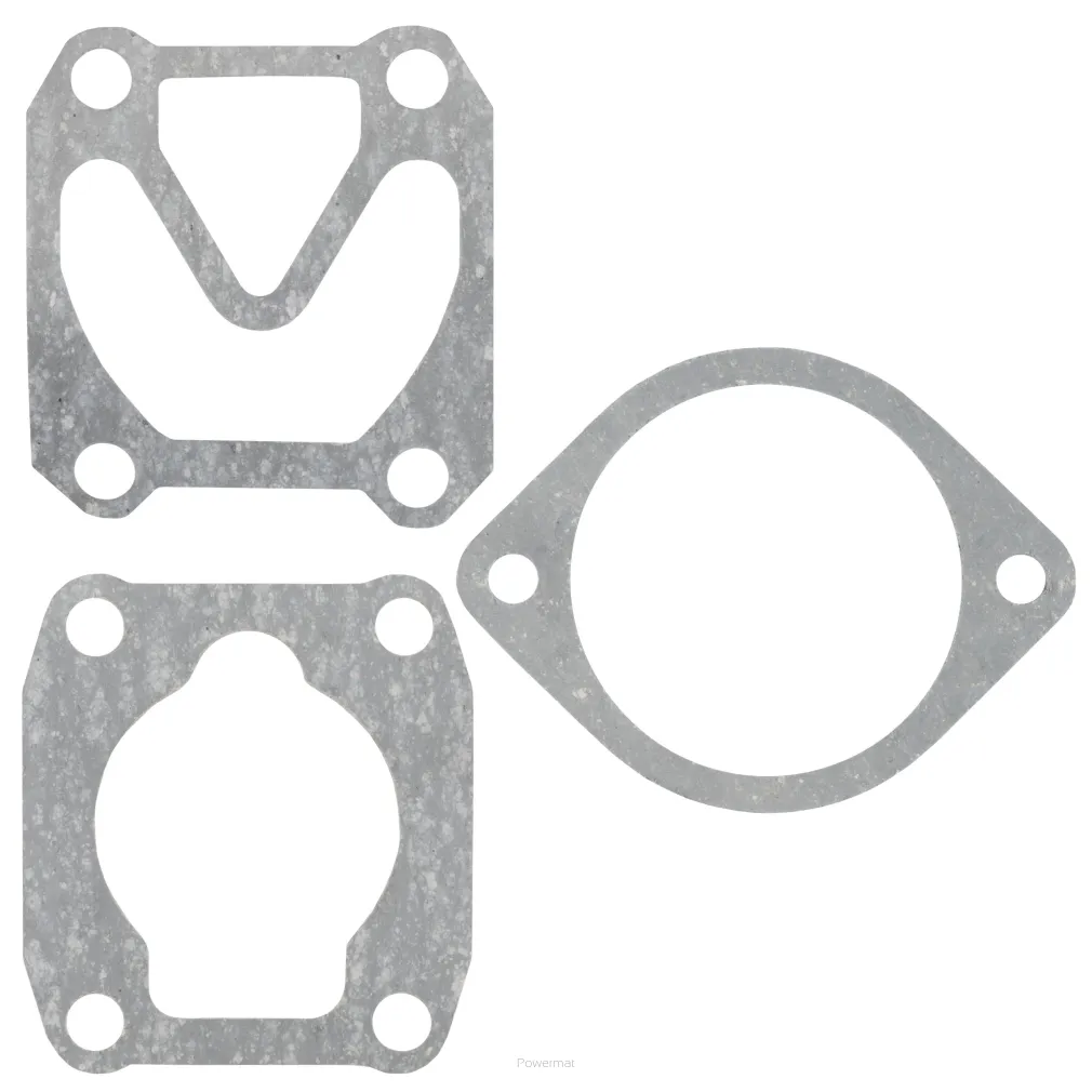 ZESTAW USZCZELEK DO KOMPRESORA PM-KO-100T-V2-ZUS