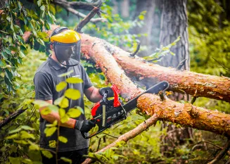 Piła SPALINOWA 5,7KM 16'' 18'' Łańcuchowa Pilarka RTPSP0035 - 3