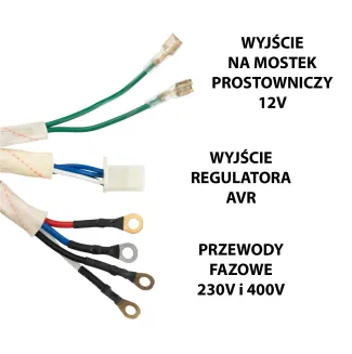 WIRNIK + STOJAN DO AGREGATU PRĄDOTWÓRCZEGO PM-AGR-3000MNKE-SI - 8