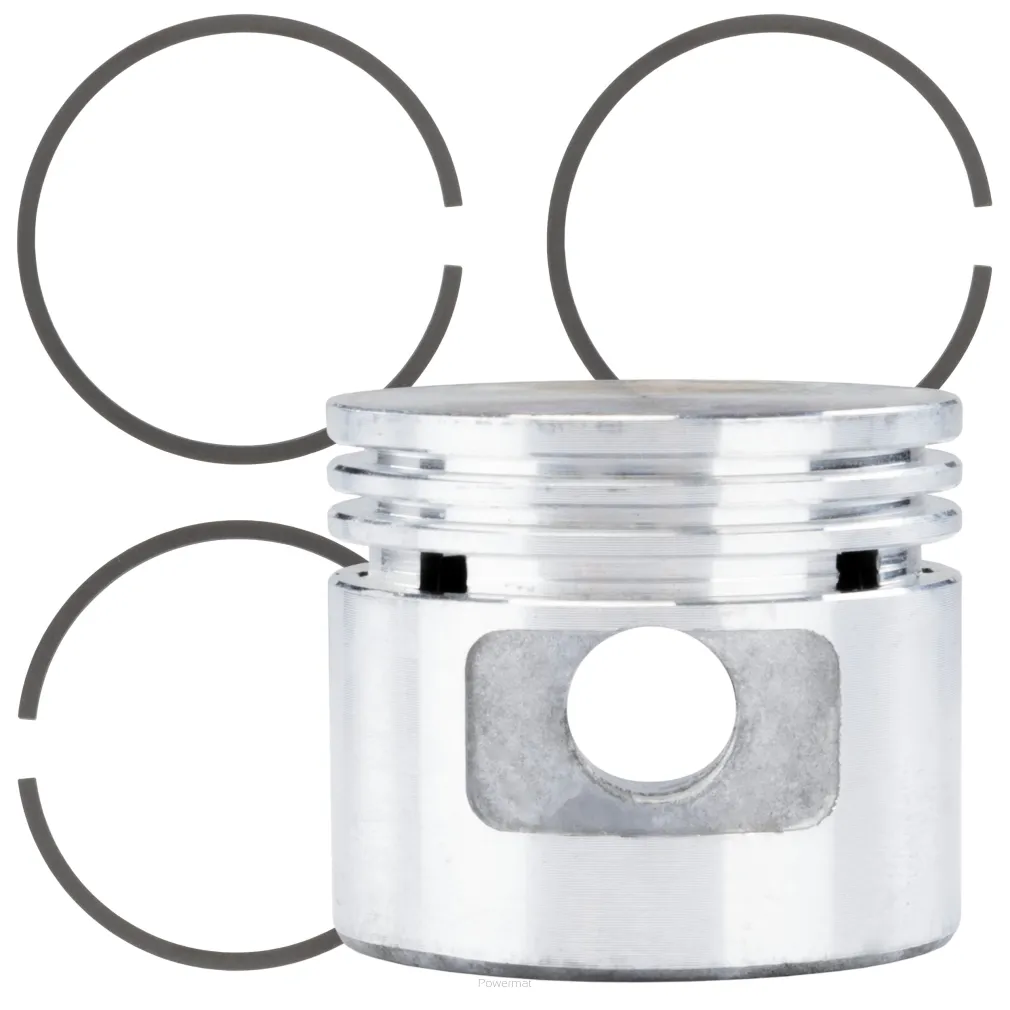 TŁOK KOMPLETNY DO KOMPRESORA PM-KO-100T-V2-TK