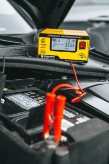 Prostownik mikroprocesorowy akumulatorowy 12/24V PM-PM-50B - 3